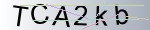 Captcha anti-spam