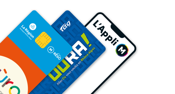10 voyages Access